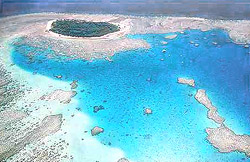 barrire de corail